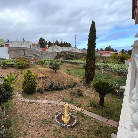 Socas Icod De Los Vinos