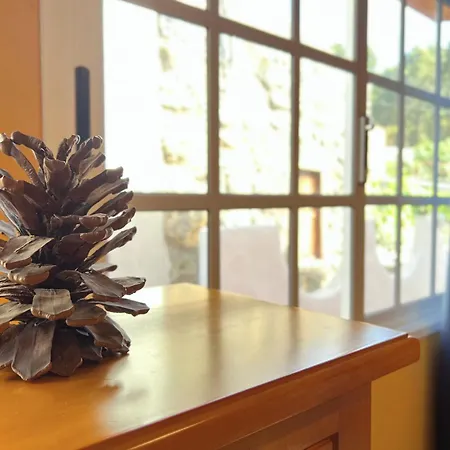 Socas Hébergement de vacances Icod De Los Vinos