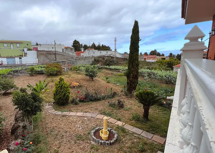 Socas Icod De Los Vinos