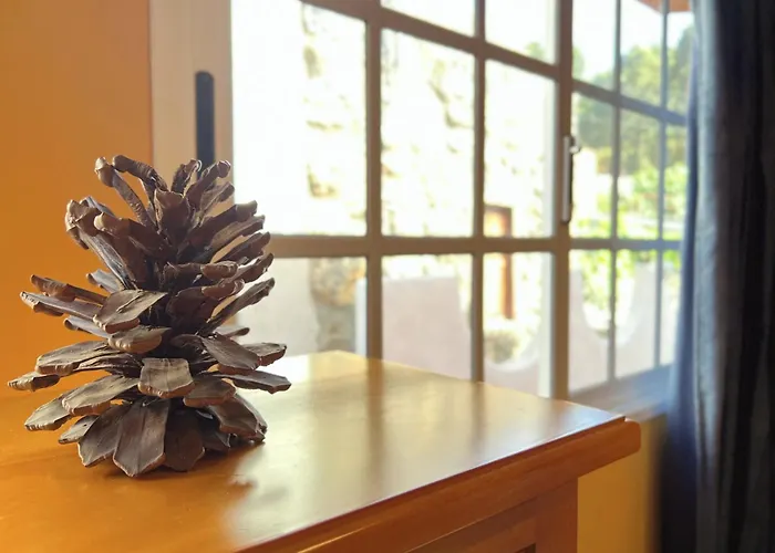 Socas Holiday home Icod De Los Vinos