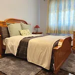 Socas Icod De Los Vinos